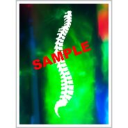 Chiropractic Posters Abstract Poster Spine Artwork