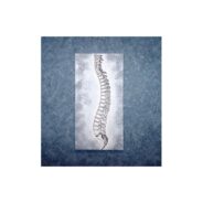 Chiropractic Art single canvas spine painting