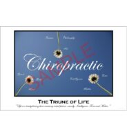 Affordable Chiropractic Poster Triune