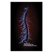 Chiropractic Posters